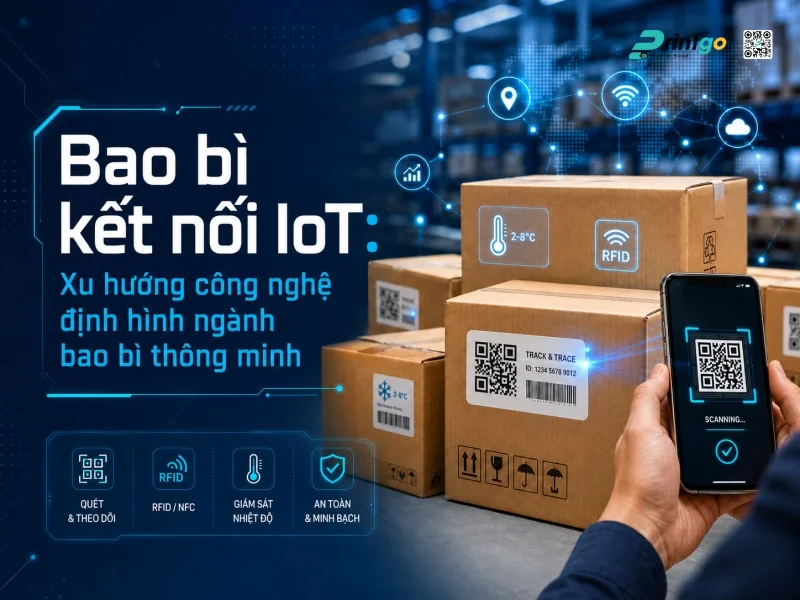 Bao bì kết nối IoT: Xu hướng công nghệ định hình ngành bao bì thông minh
