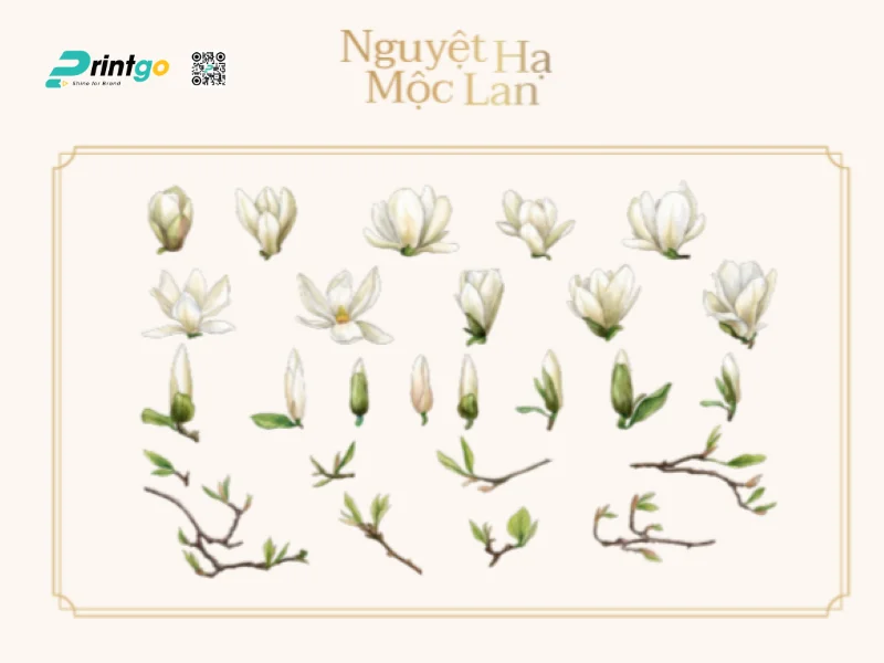 “Nguyệt Hạ Mộc Lan” – Câu chuyện về vẻ đẹp bền vững qua thời gian