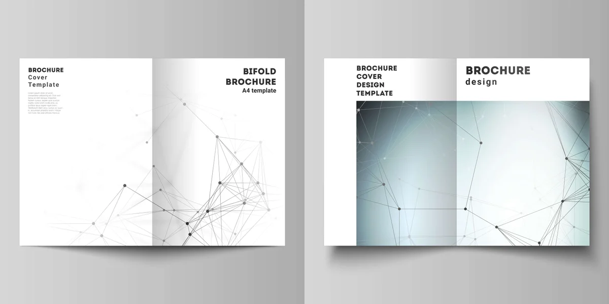 Catalogue