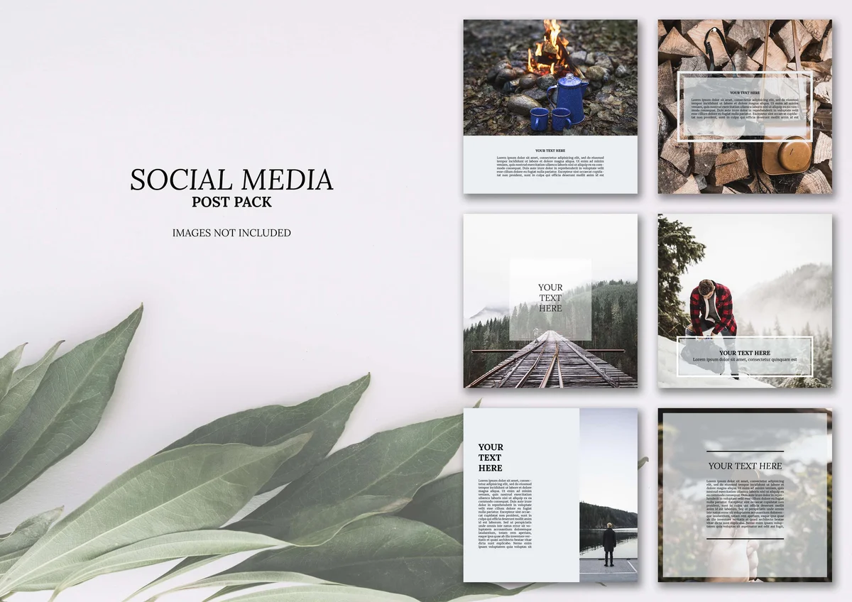 Catalogue