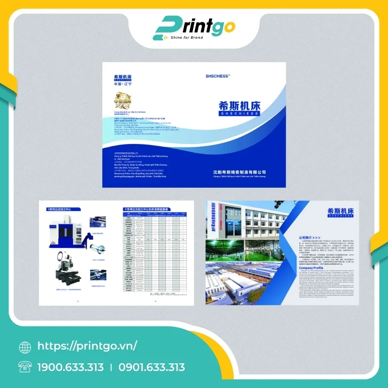 In catalogue Zhongjin Việt Nam 