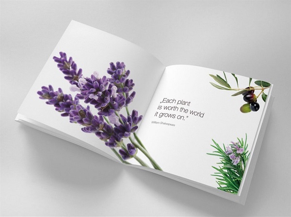 Tổng hợp các mẫu catalogue đẹp, ấn tượng và chuyên nghiệp Tổng hợp các mẫu catalogue đẹp, ấn tượng và chuyên nghiệp