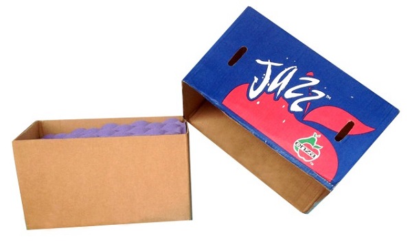 Thùng carton âm dương là gì? Tìm hiểu chi tiết về thùng carton âm dương