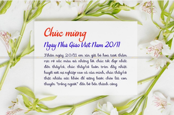 Thiệp chúc mừng 20/11 - Ngày nhà giáo Việt Nam họa tiết hoa đẹp | Thiệp, Chúc  mừng, Việt nam