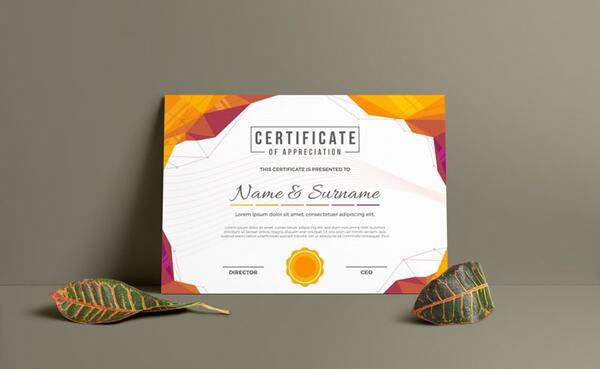 Địa chỉ chuyên nhận in giấy khen chất lượng cao trên toàn quốc Địa chỉ chuyên nhận in giấy khen chất lượng cao trên toàn quốc