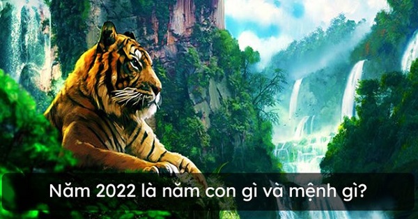 Thông tin về con vật của năm Nhâm Dần 2022? 
