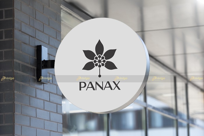 [Branding] Thiết kế bộ nhận diện thương hiệu cho thương hiệu sâm Panax cao cấp