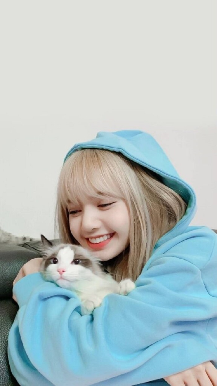 Ảnh Lisa ôm mèo cute