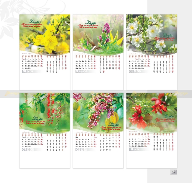 Bộ sưu tập Lịch tết Mỹ Thuật Việt 2025 thiết kế ấn tượng, giá tốt nhất thị trường