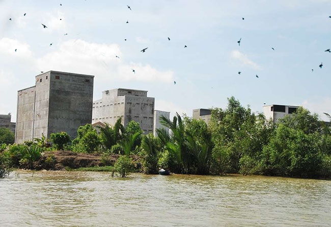 Khám phá những khu vực nuôi yến tiềm năng