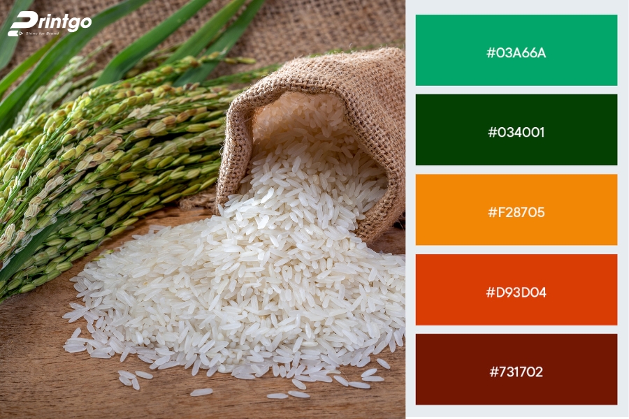 Gợi ý bảng màu sắc phù hợp khi thiết kế logo gạo Gợi ý bảng màu sắc phù hợp khi thiết kế logo gạo