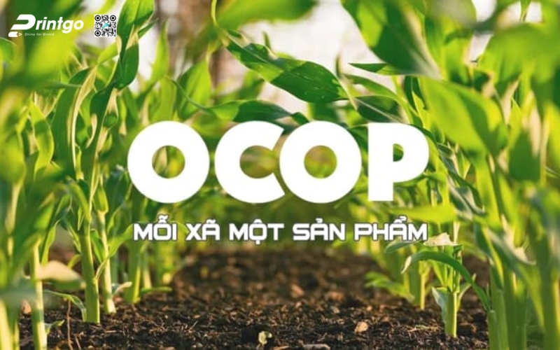 Printgo - Đơn vị thiết kế & in tem/logo OCOP 3 sao tại xưởng không qua trung gian chất lượng số 1 VN Printgo - Đơn vị thiết kế & in tem/logo OCOP 3 sao tại xưởng không qua trung gian chất lượng số 1 VN