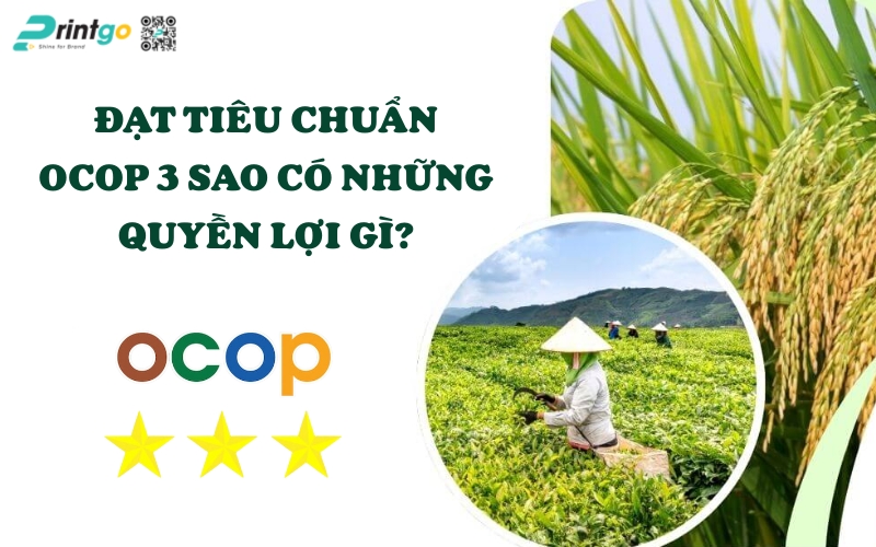 Đạt tiêu chuẩn OCOP 3 sao có những quyền lợi gì? Đạt tiêu chuẩn OCOP 3 sao có những quyền lợi gì?