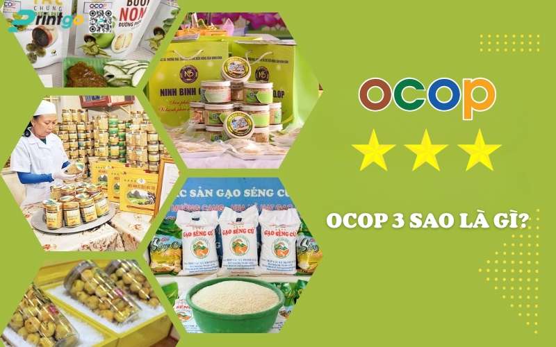 OCOP 3 sao là gì? Do đơn vị nào quyết định và cấp? OCOP 3 sao là gì? Do đơn vị nào quyết định và cấp?