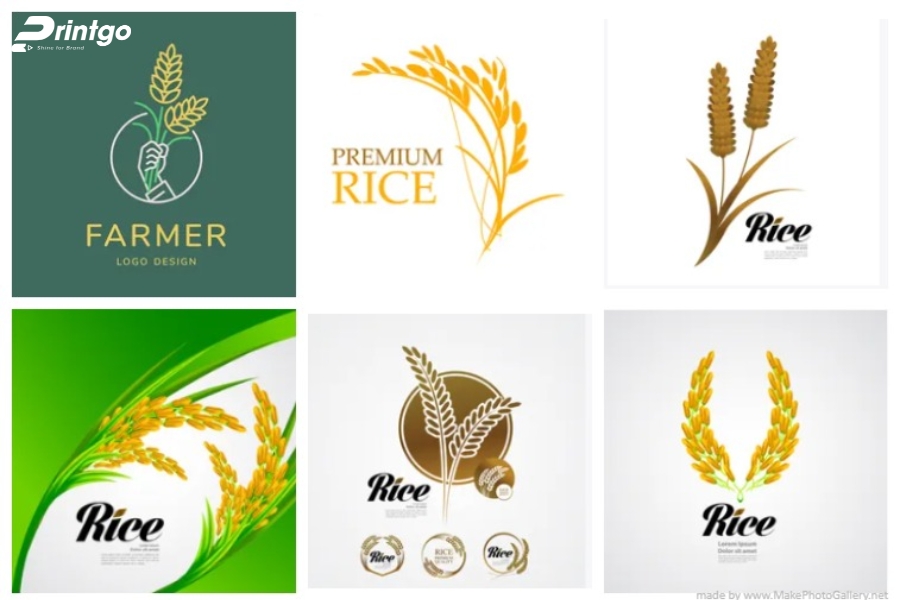 Mẫu logo gạo đẹp đạt chuẩn thương hiệu Mẫu logo gạo đẹp đạt chuẩn thương hiệu
