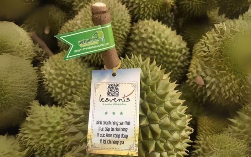 Tem dán cuống sầu riêng hoặc bao lưới Tem dán cuống sầu riêng hoặc bao lưới