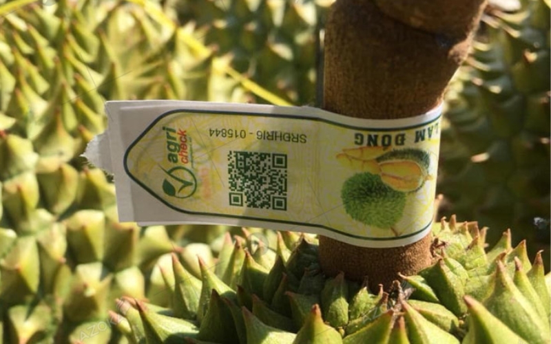 Tem dán cuống sầu riêng hoặc bao lưới Tem dán cuống sầu riêng hoặc bao lưới