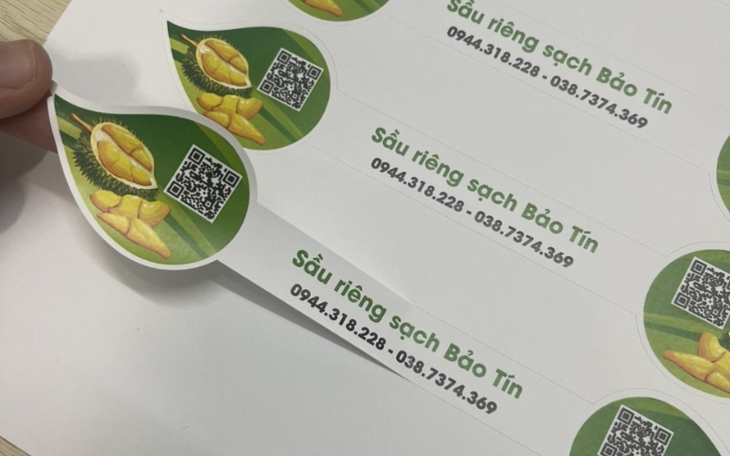 Tem dán sầu riêng hoặc bao lưới Tem dán sầu riêng hoặc bao lưới