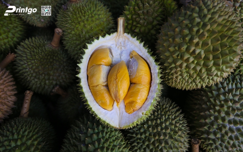 Các tiêu chuẩn của tem xuất khẩu sầu riêng xuất khẩu đạt chuẩn OCOP 2025 Các tiêu chuẩn của tem xuất khẩu sầu riêng đạt chuẩn OCOP 2025