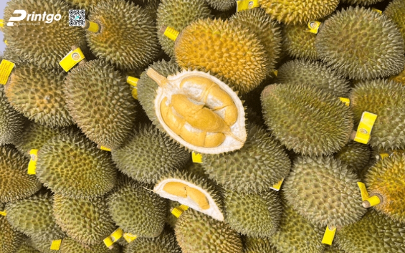 Ưu điểm khi in tem xuất khẩu sầu riêng theo mẫu chuyên biệt Ưu điểm khi in tem xuất khẩu sầu riêng theo mẫu chuyên biệt