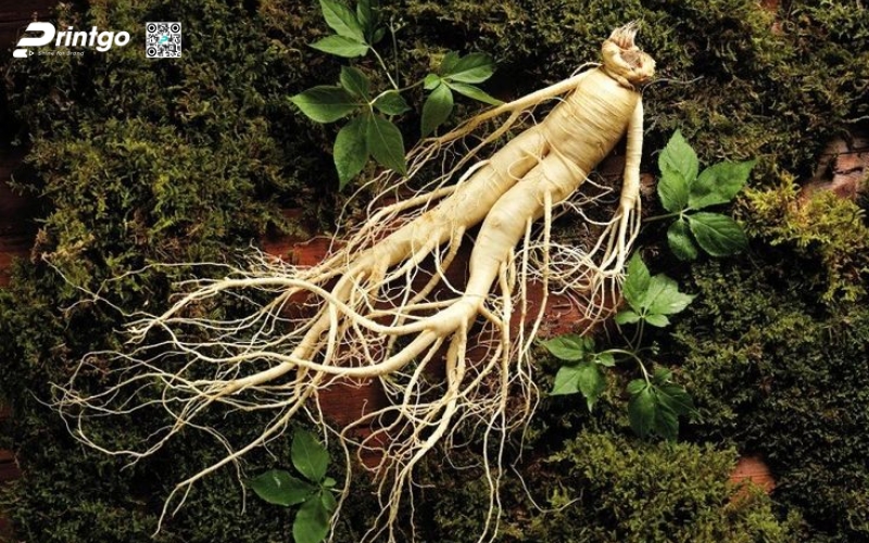 Vai trò của in hộp sâm trong việc nâng tầm giá trị sản phẩm OCOP Vai trò của in hộp sâm trong việc nâng tầm giá trị sản phẩm OCOP