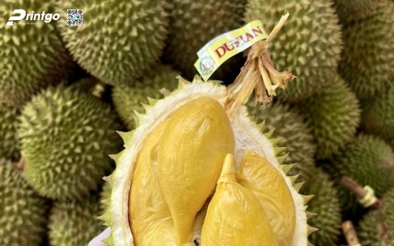 Vì sao cần in tem sầu riêng xuất khẩu theo mẫu riêng? Vì sao cần in tem xuất khẩu sầu riêng theo mẫu riêng?