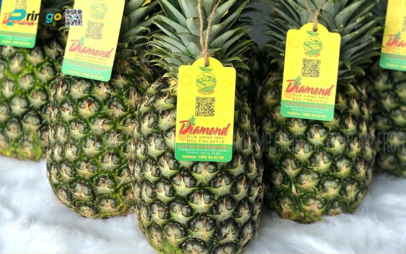 Mẫu in tem dứa xuất khẩu dán quả Mẫu in tem dứa xuất khẩu dán quả