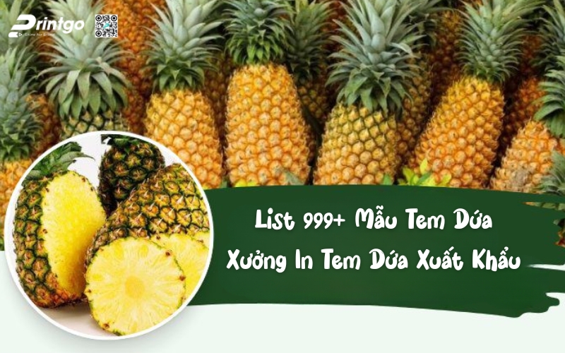 Tổng hợp 999 mẫu in tem dứa xuất khẩu độc quyền ấn tượng nhất 2025 Tổng hợp 999 mẫu in tem dứa xuất khẩu độc quyền ấn tượng nhất 2025