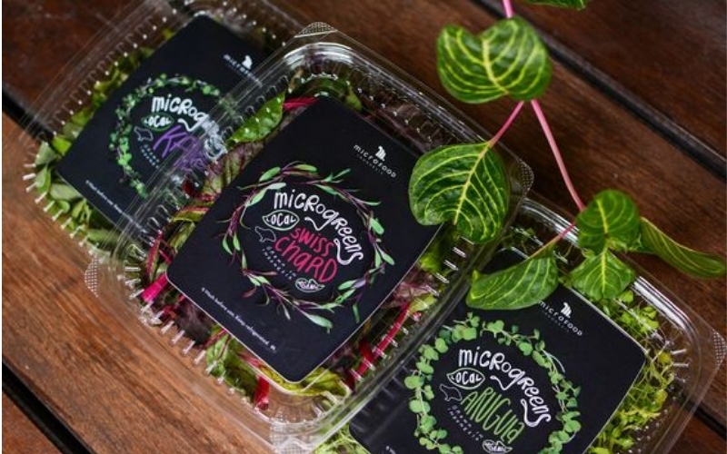 In tem nhãn rau củ quả đạt chuẩn xuất/nhập khẩu In tem nhãn rau củ quả đạt chuẩn xuất/nhập khẩu