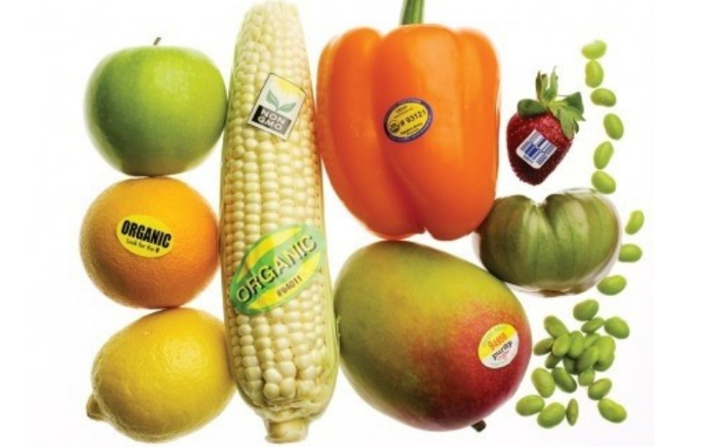 Đặc điểm của tem nhãn rau củ phổ biến hiện nay Đặc điểm của tem nhãn rau củ phổ biến hiện nay