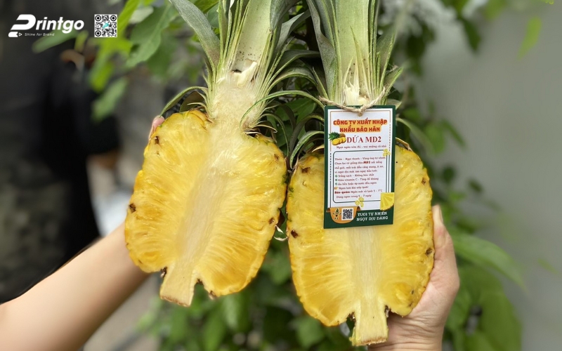 Mẫu in tem dứa xuất khẩu dán quả Mẫu in tem dứa xuất khẩu dán quả