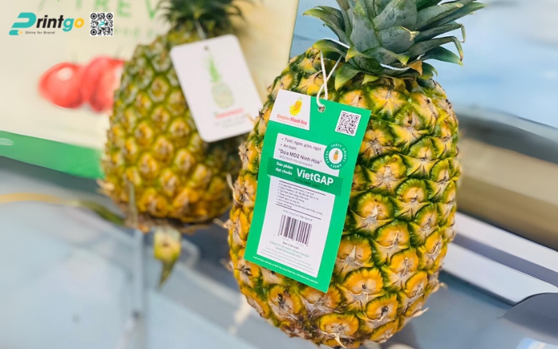 Mẫu in tem dứa OCOP/VietGAP Mẫu in tem dứa OCOP/VietGAP