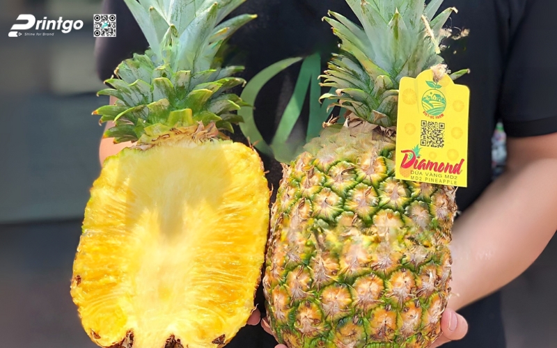 Mẫu in tem dứa xuất khẩu dán quả Mẫu in tem dứa xuất khẩu dán quả
