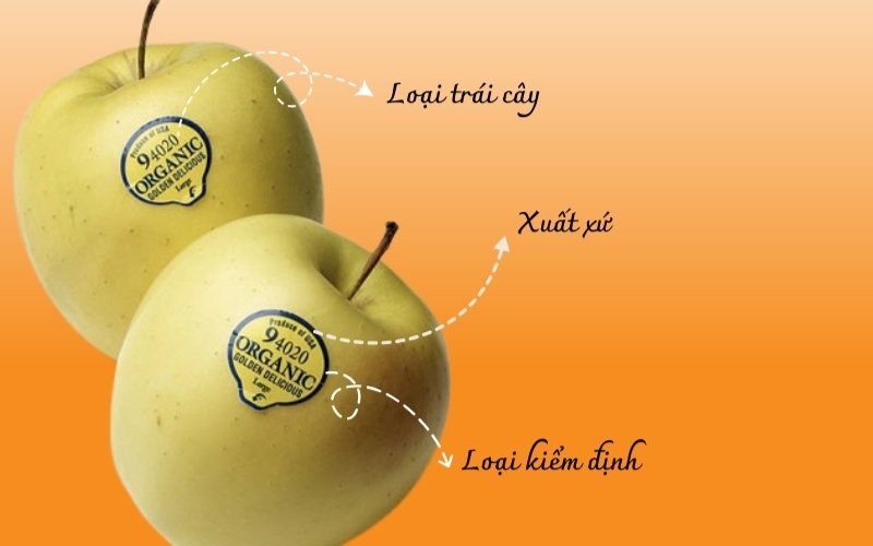 Lưu ý về những ký hiệu trái cây nhập khẩu Lưu ý về những ký hiệu trái cây nhập khẩu
