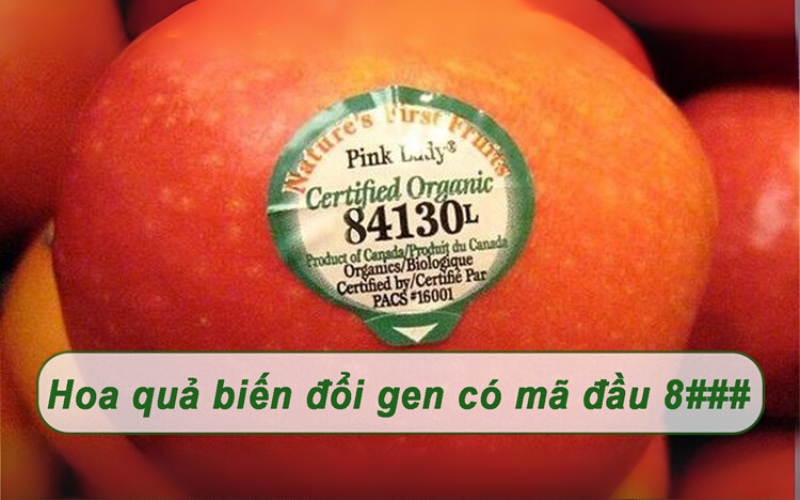 /Mã số trái cây an toàn 5 chữ số bắt đầu bằng 8 /Mã số trái cây an toàn 5 chữ số bắt đầu bằng 8