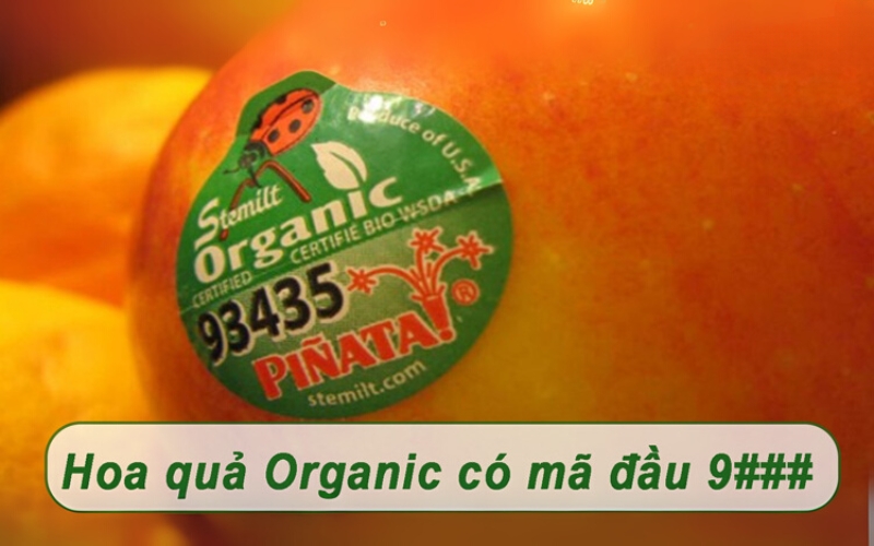 /Mã số trái cây an toàn 5 chữ số bắt đầu bằng 9 /Mã số trái cây an toàn 5 chữ số bắt đầu bằng 9