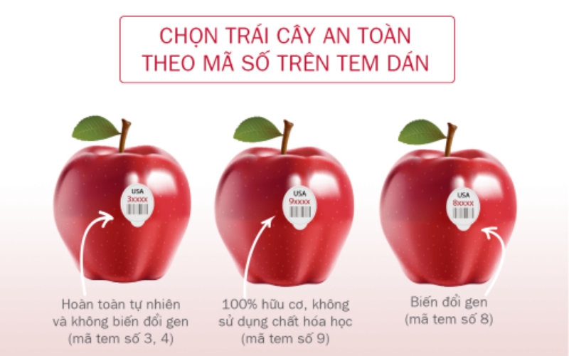Mã số trái cây an toàn nên chọn khi mua trái cây nhập khẩu? Mã số trái cây an toàn nên chọn khi mua trái cây nhập khẩu?