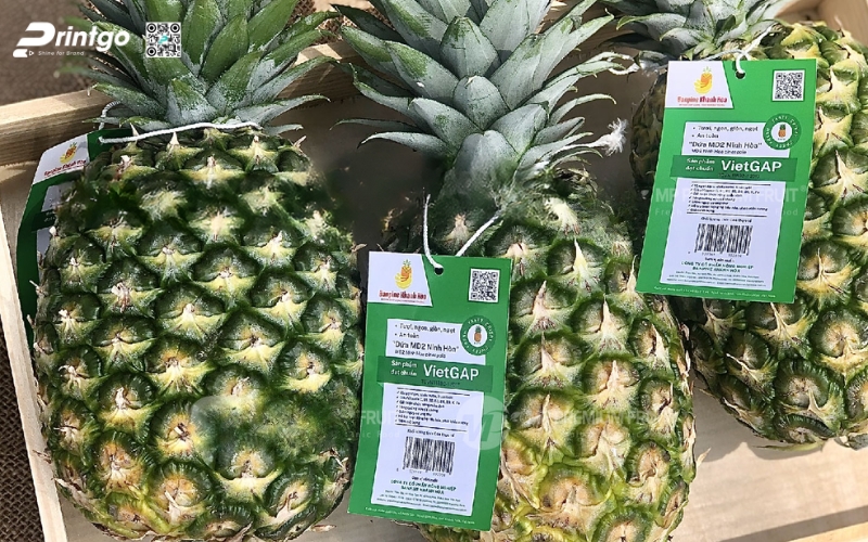 Mẫu in tem dứa OCOP/VietGAP Mẫu in tem dứa OCOP/VietGAP