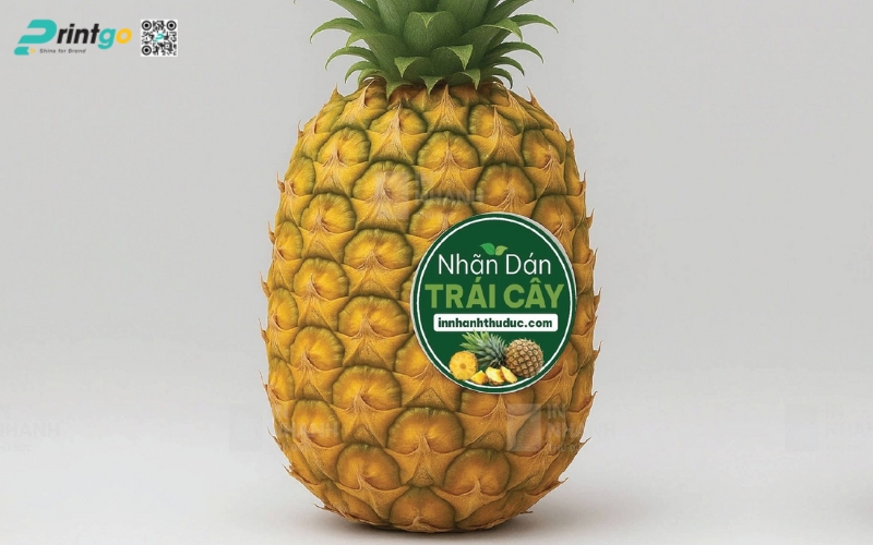 Mẫu in tem dứa xuất khẩu dán quả Mẫu in tem dứa xuất khẩu dán quả
