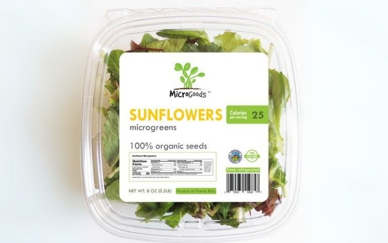 In tem nhãn rau củ quả đạt chuẩn xuất/nhập khẩu In tem nhãn rau củ quả đạt chuẩn xuất/nhập khẩu