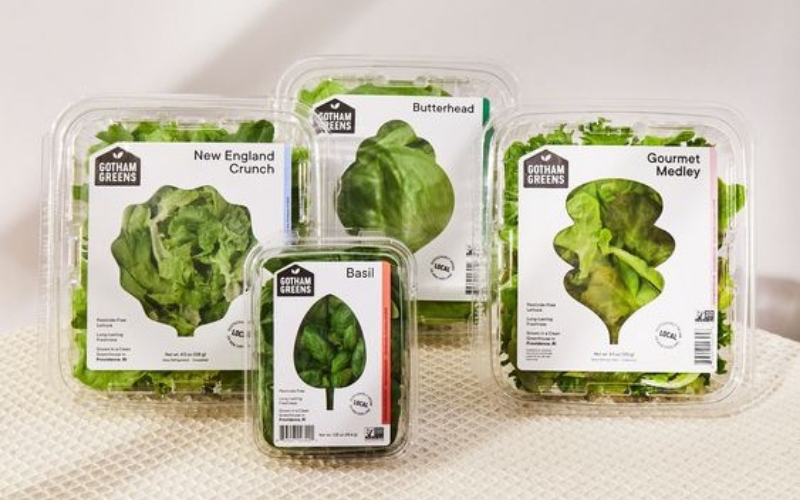 Những kỹ thuật in tem nhãn rau củ quả phổ biến Những kỹ thuật in tem nhãn rau củ quả phổ biến