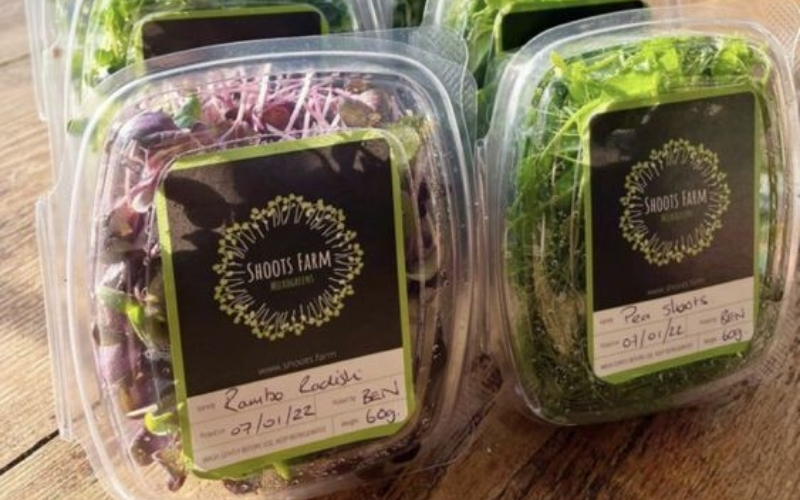 In tem nhãn rau củ quả đạt chuẩn xuất/nhập khẩu In tem nhãn rau củ quả đạt chuẩn xuất/nhập khẩu