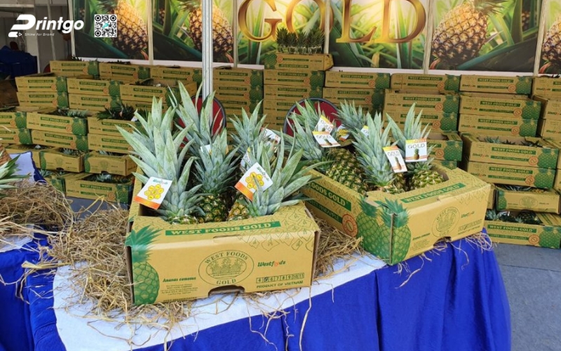 Mẫu in tem dứa OCOP/VietGAP Mẫu in tem dứa OCOP/VietGAP