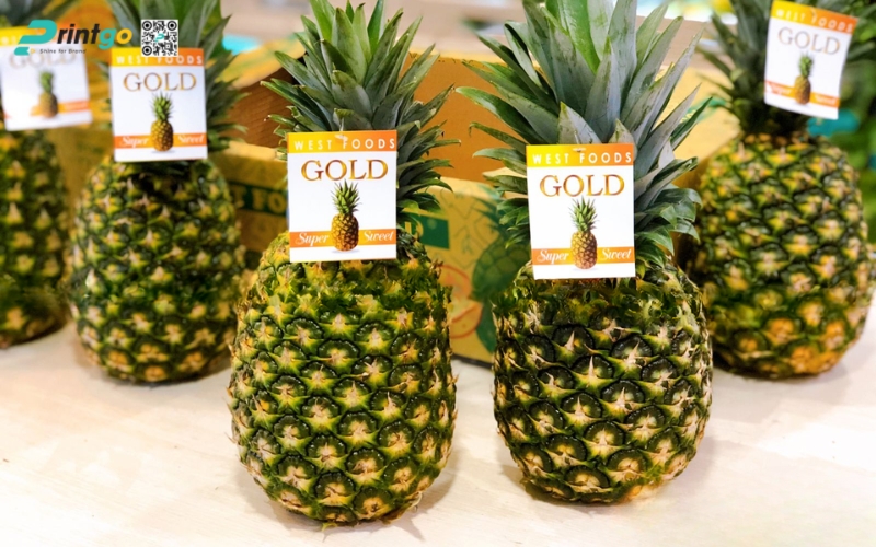 Mẫu in tem dứa xuất khẩu dán quả Mẫu in tem dứa xuất khẩu dán quả