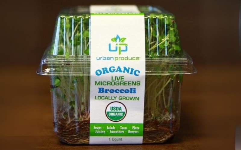 In tem nhãn rau củ quả đạt chuẩn xuất/nhập khẩu In tem nhãn rau củ quả đạt chuẩn xuất/nhập khẩu