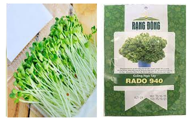 In tem nhãn rau củ quả đạt chuẩn xuất/nhập khẩu In tem nhãn rau củ quả đạt chuẩn xuất/nhập khẩu