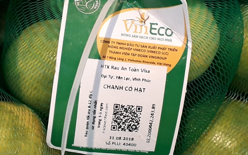 Tem nhãn rau củ dạng tem truy xuất nguồn gốc Tem nhãn rau củ dạng tem truy xuất nguồn gốc