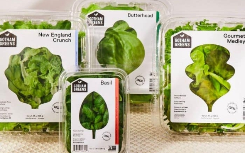 Chất liệu & gia công in tem nhãn rau củ quả Chất liệu & gia công in tem nhãn rau củ quả