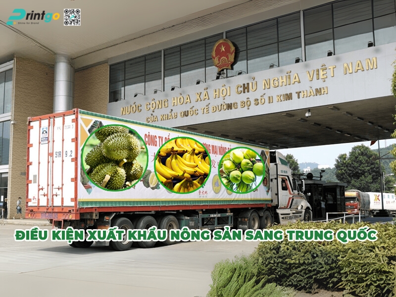 Những điều kiện cho phép nông sản được xuất khẩu sang Trung Quốc Những điều kiện cho phép nông sản được xuất khẩu sang Trung Quốc