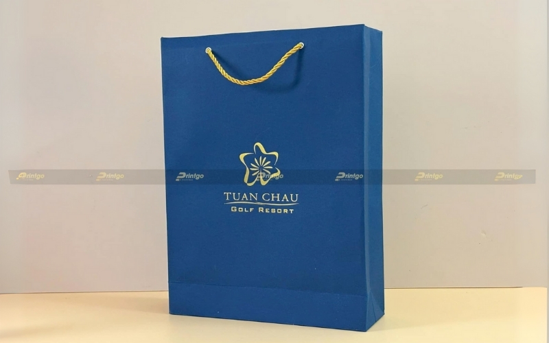 Túi đựng bánh trung thu bằng giấy ivory Túi đựng bánh trung thu bằng giấy ivory